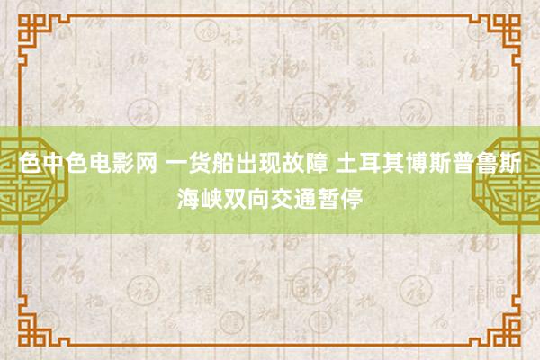 色中色电影网 一货船出现故障 土耳其博斯普鲁斯海峡双向交通暂停