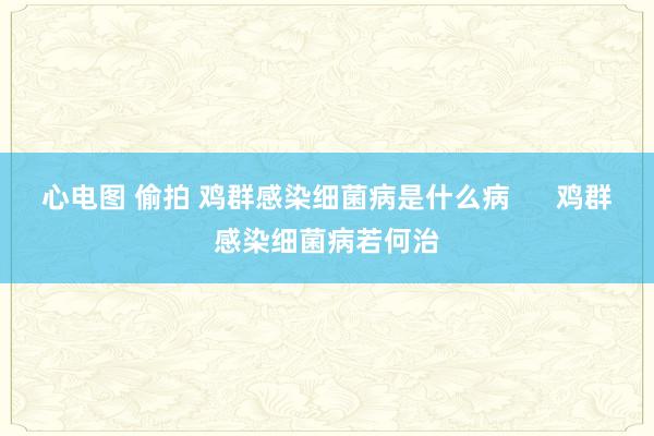 心电图 偷拍 鸡群感染细菌病是什么病      鸡群感染细菌病若何治