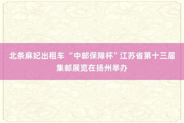 北条麻妃出租车 “中邮保障杯”江苏省第十三届集邮展览在扬州举办