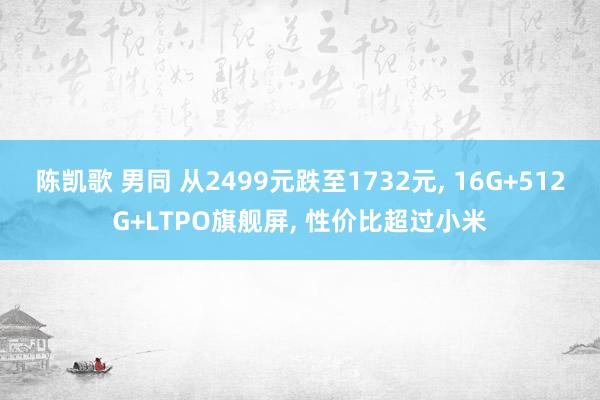 陈凯歌 男同 从2499元跌至1732元， 16G+512G+LTPO旗舰屏， 性价比超过小米