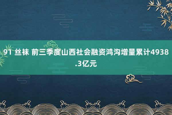 91 丝袜 前三季度山西社会融资鸿沟增量累计4938.3亿元