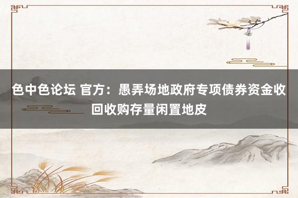 色中色论坛 官方：愚弄场地政府专项债券资金收回收购存量闲置地皮
