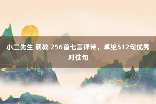 小二先生 调教 256首七言律诗，卓绝512句优秀对仗句