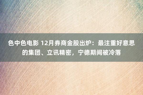 色中色电影 12月券商金股出炉：最注重好意思的集团、立讯精密，宁德期间被冷落