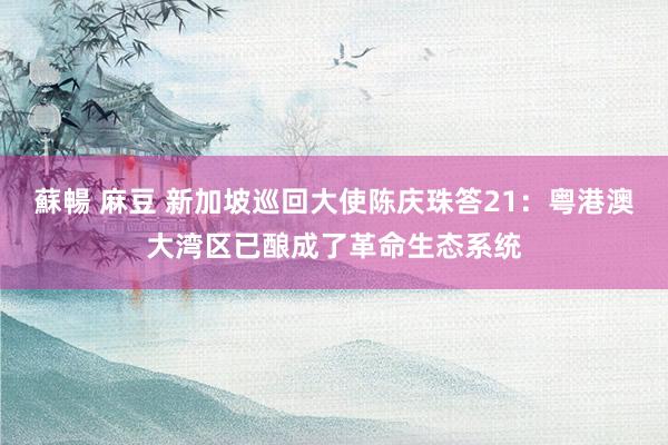 蘇暢 麻豆 新加坡巡回大使陈庆珠答21：粤港澳大湾区已酿成了革命生态系统