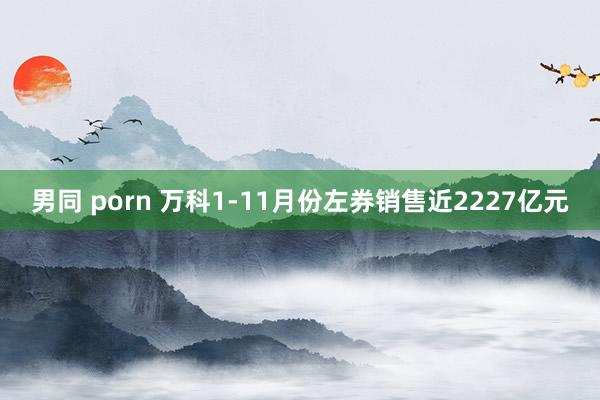 男同 porn 万科1-11月份左券销售近2227亿元