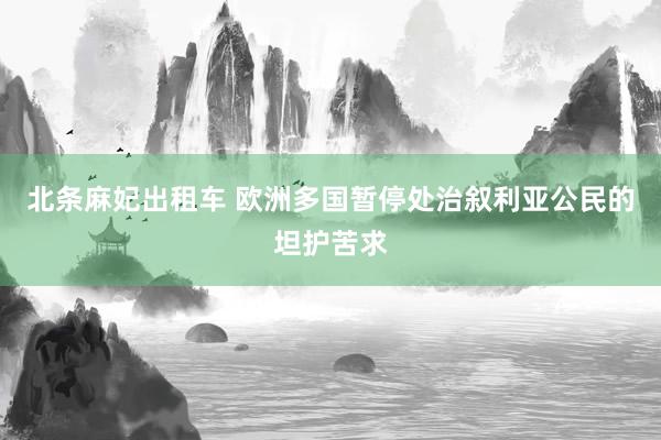 北条麻妃出租车 欧洲多国暂停处治叙利亚公民的坦护苦求