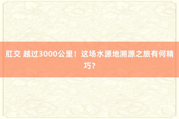肛交 越过3000公里！这场水源地溯源之旅有何精巧？