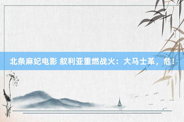 北条麻妃电影 叙利亚重燃战火：大马士革，危！