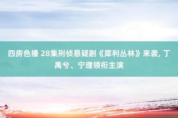 四房色播 28集刑侦悬疑剧《犀利丛林》来袭， 丁禹兮、宁理领衔主演