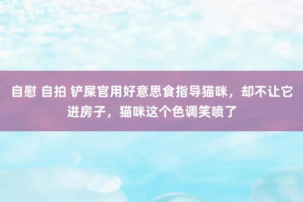 自慰 自拍 铲屎官用好意思食指导猫咪，却不让它进房子，猫咪这个色调笑喷了