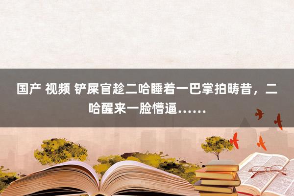 国产 视频 铲屎官趁二哈睡着一巴掌拍畴昔，二哈醒来一脸懵逼……