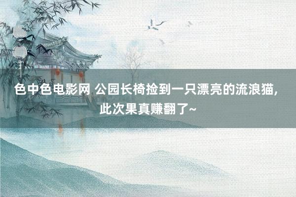 色中色电影网 公园长椅捡到一只漂亮的流浪猫， 此次果真赚翻了~