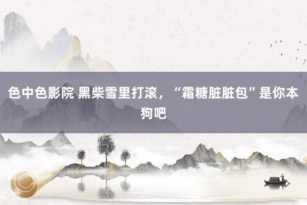 色中色影院 黑柴雪里打滚，“霜糖脏脏包”是你本狗吧