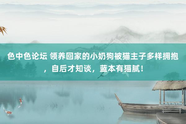 色中色论坛 领养回家的小奶狗被猫主子多样拥抱，自后才知谈，蓝本有猫腻！