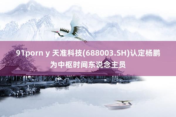 91porn y 天准科技(688003.SH)认定杨鹏为中枢时间东说念主员