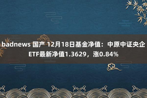 badnews 国产 12月18日基金净值：中原中证央企ETF最新净值1.3629，涨0.84%