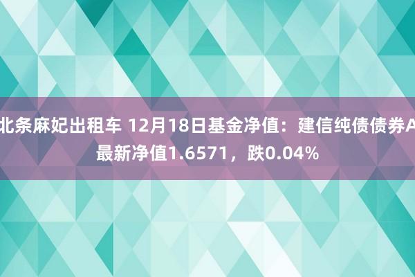 北条麻妃出租车 12月18日基金净值：建信纯债债券A最新净值1.6571，跌0.04%