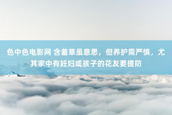 色中色电影网 含羞草虽意思，但养护需严慎，尤其家中有妊妇或孩子的花友要提防