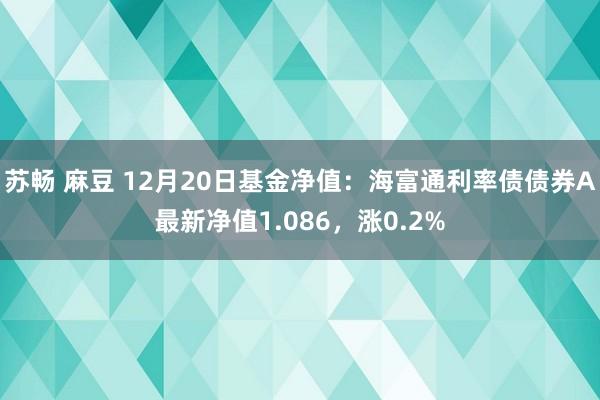 苏畅 麻豆 12月20日基金净值：海富通利率债债券A最新净值1.086，涨0.2%