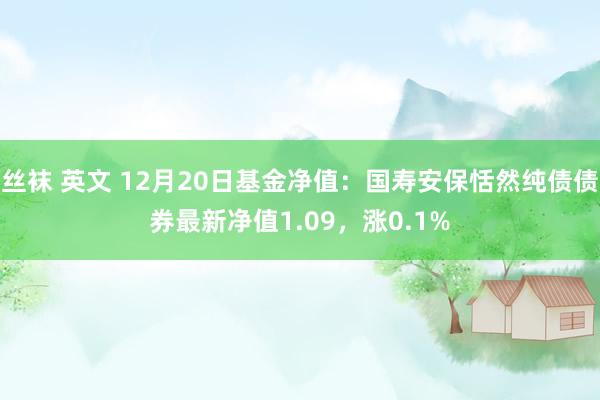 丝袜 英文 12月20日基金净值：国寿安保恬然纯债债券最新净值1.09，涨0.1%