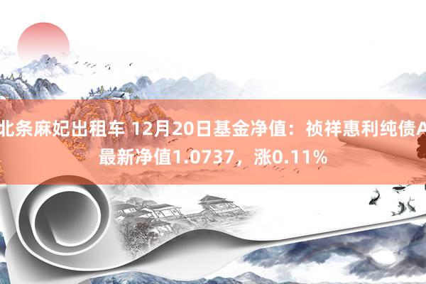 北条麻妃出租车 12月20日基金净值：祯祥惠利纯债A最新净值1.0737，涨0.11%