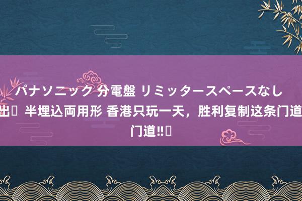 パナソニック 分電盤 リミッタースペースなし 露出・半埋込両用形 香港只玩一天,胜利复制这条门道‼️