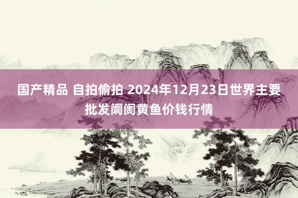 国产精品 自拍偷拍 2024年12月23日世界主要批发阛阓黄鱼价钱行情
