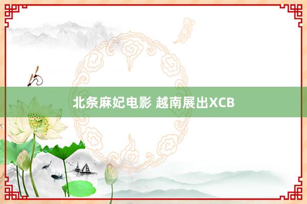 北条麻妃电影 越南展出XCB