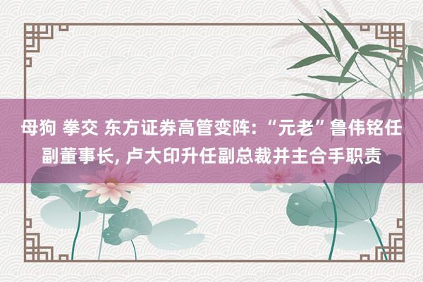 母狗 拳交 东方证券高管变阵: “元老”鲁伟铭任副董事长， 卢大印升任副总裁并主合手职责