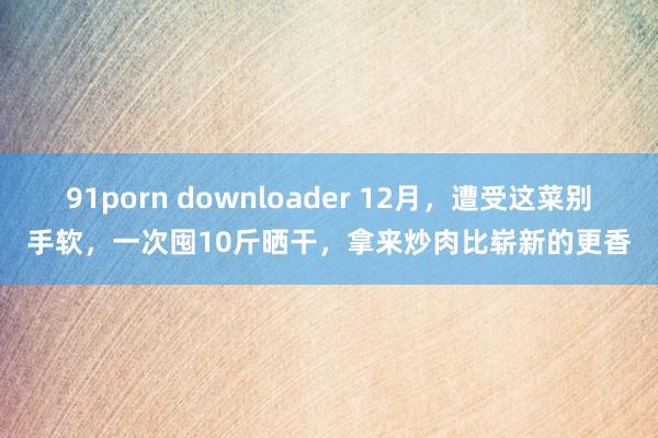 91porn downloader 12月，遭受这菜别手软，一次囤10斤晒干，拿来炒肉比崭新的更香