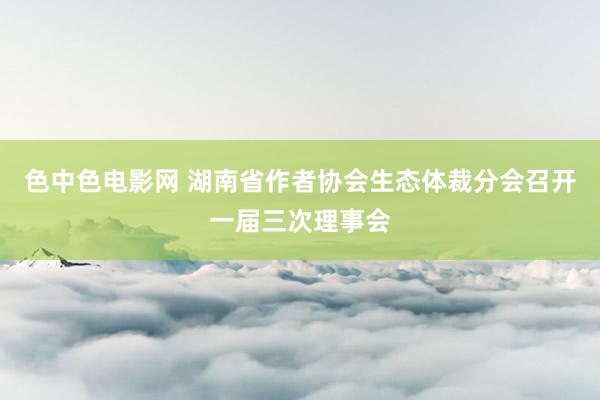 色中色电影网 湖南省作者协会生态体裁分会召开一届三次理事会