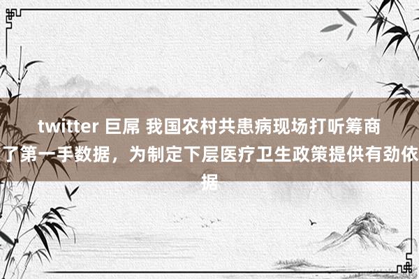 twitter 巨屌 我国农村共患病现场打听筹商有了第一手数据，为制定下层医疗卫生政策提供有劲依据