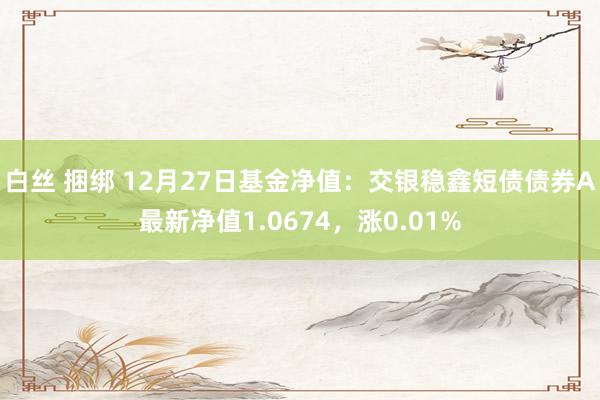 白丝 捆绑 12月27日基金净值：交银稳鑫短债债券A最新净值1.0674，涨0.01%