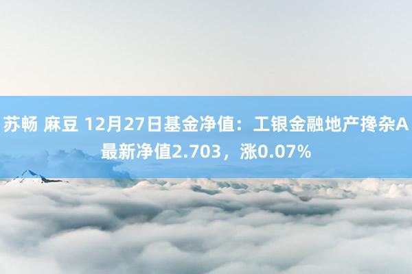 苏畅 麻豆 12月27日基金净值：工银金融地产搀杂A最新净值2.703，涨0.07%