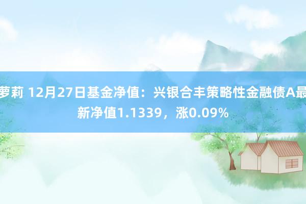 萝莉 12月27日基金净值：兴银合丰策略性金融债A最新净值1.1339，涨0.09%