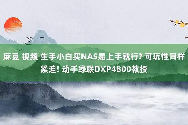 麻豆 视频 生手小白买NAS易上手就行? 可玩性同样紧迫! 动手绿联DXP4800教授