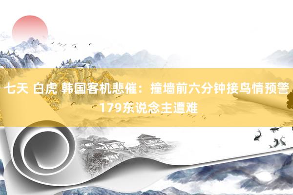 七天 白虎 韩国客机悲催：撞墙前六分钟接鸟情预警 179东说念主遭难