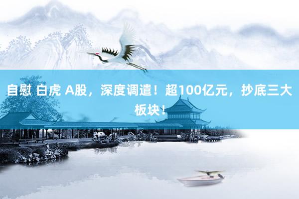 自慰 白虎 A股，深度调遣！超100亿元，抄底三大板块！