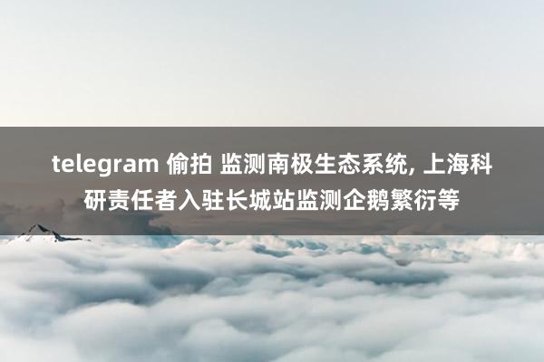 telegram 偷拍 监测南极生态系统， 上海科研责任者入驻长城站监测企鹅繁衍等