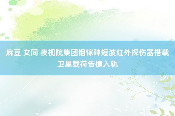 麻豆 女同 夜视院集团铟镓砷短波红外探伤器搭载卫星载荷告捷入轨