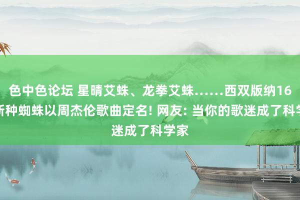 色中色论坛 星晴艾蛛、龙拳艾蛛……西双版纳16个新种蜘蛛以周杰伦歌曲定名! 网友: 当你的歌迷成了科学家