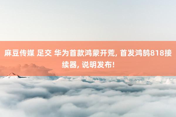 麻豆传媒 足交 华为首款鸿蒙开荒， 首发鸿鹄818接续器， 说明发布!