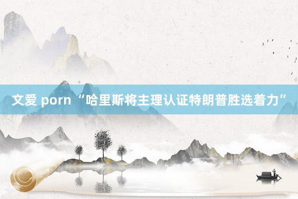 文爱 porn “哈里斯将主理认证特朗普胜选着力”