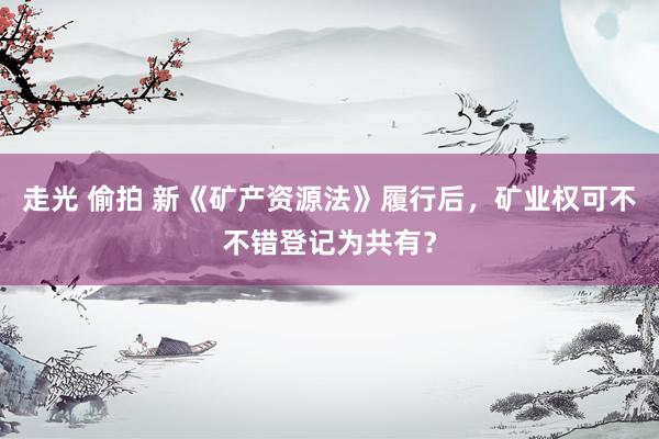 走光 偷拍 新《矿产资源法》履行后，矿业权可不不错登记为共有？