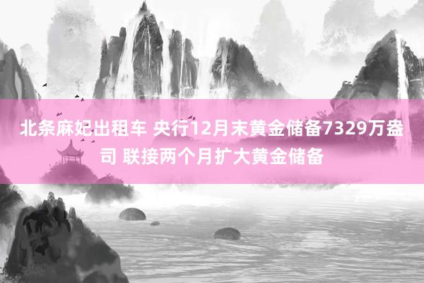 北条麻妃出租车 央行12月末黄金储备7329万盎司 联接两个月扩大黄金储备