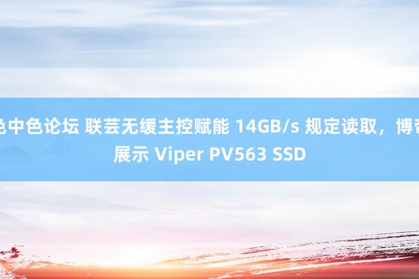 色中色论坛 联芸无缓主控赋能 14GB/s 规定读取，博帝展示 Viper PV563 SSD