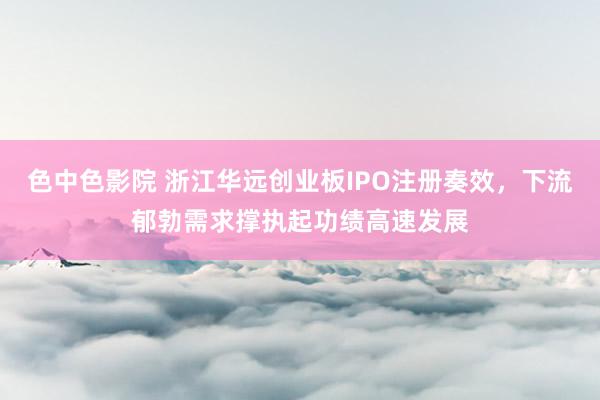 色中色影院 浙江华远创业板IPO注册奏效，下流郁勃需求撑执起功绩高速发展