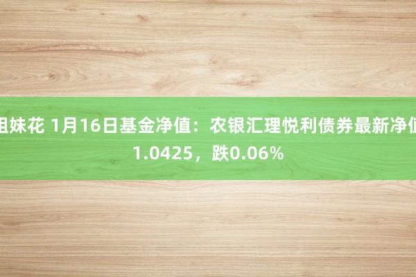 姐妹花 1月16日基金净值：农银汇理悦利债券最新净值1.0425，跌0.06%