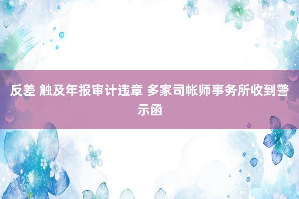 反差 触及年报审计违章 多家司帐师事务所收到警示函